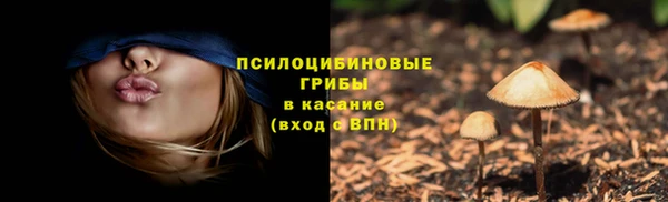 сатива Алзамай