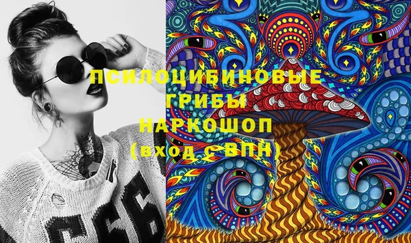 альфа пвп Алексеевка