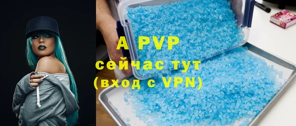 сатива Алзамай