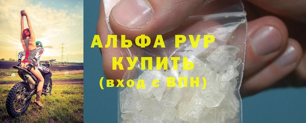 сатива Алзамай