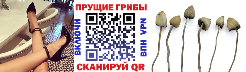 Псилоцибиновые грибы прущие грибы наркошоп нарко площадка клад Краснокамск